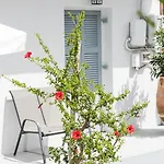 Hotel Hb Benitsa