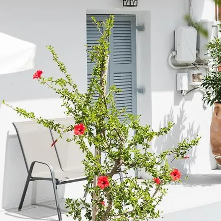 Hotel Hb Benitsa